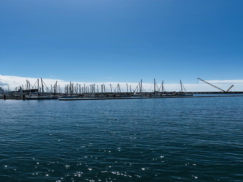 Marina in Ponta Delgada