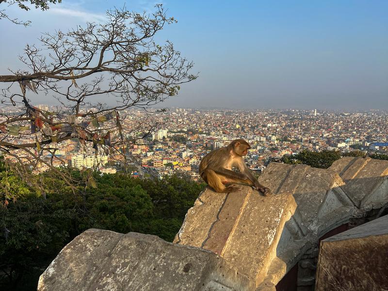 Looking out over Kathmandu