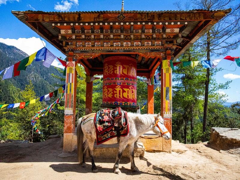 Prayer wheel with horse