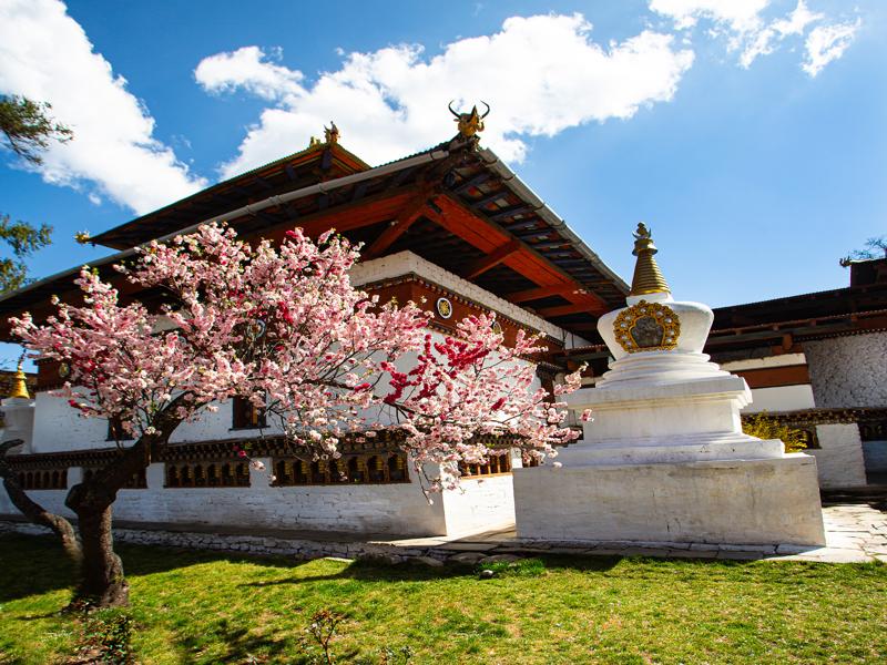 Kichu Lhakhang Temple