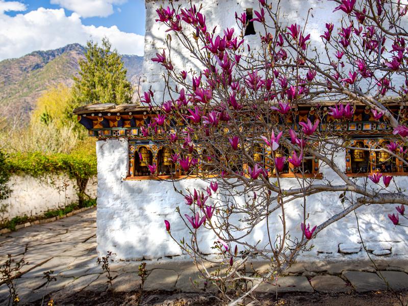 Kichu Lhakhang Temple