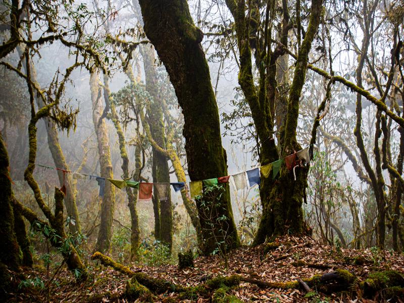 Starting our hike through the fog