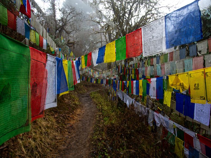 So many prayer flags lining the trail