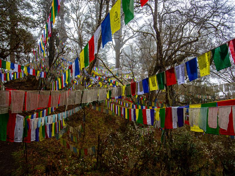More prayer flags