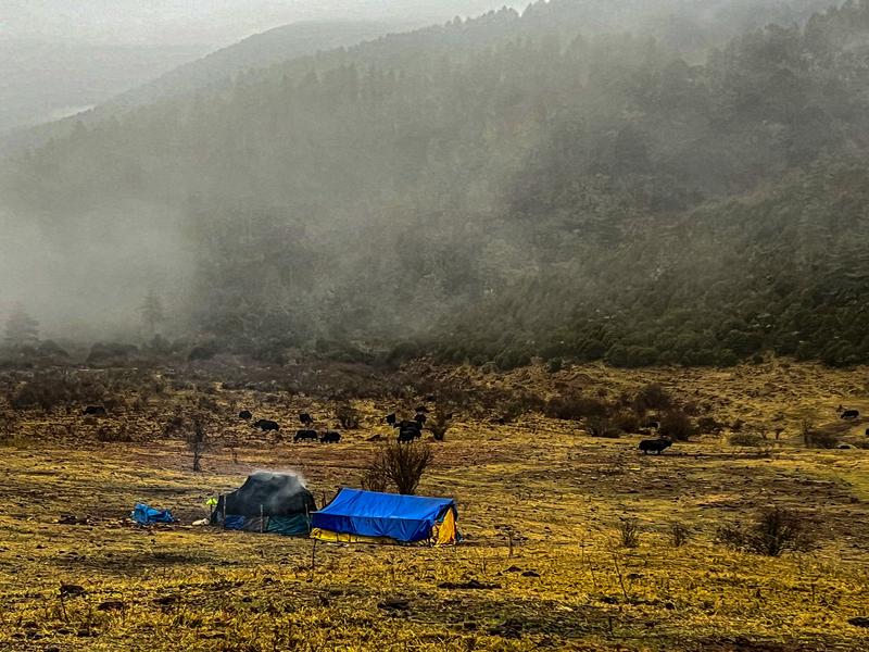 Yak herders on the pass
