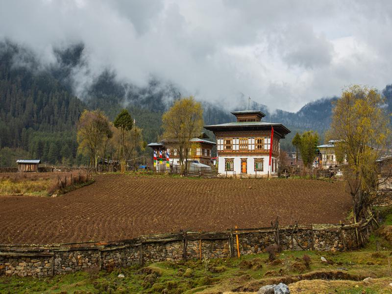 Local Phobjikha Valley homes