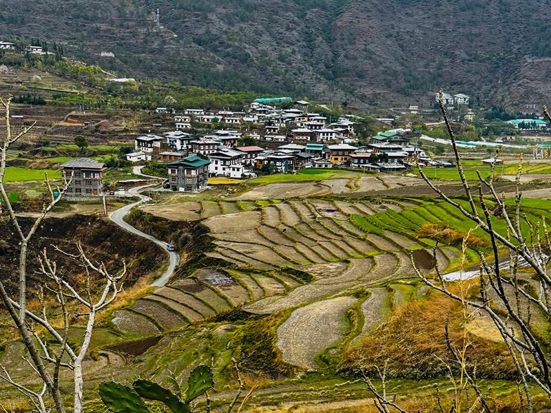 Punakha valley view