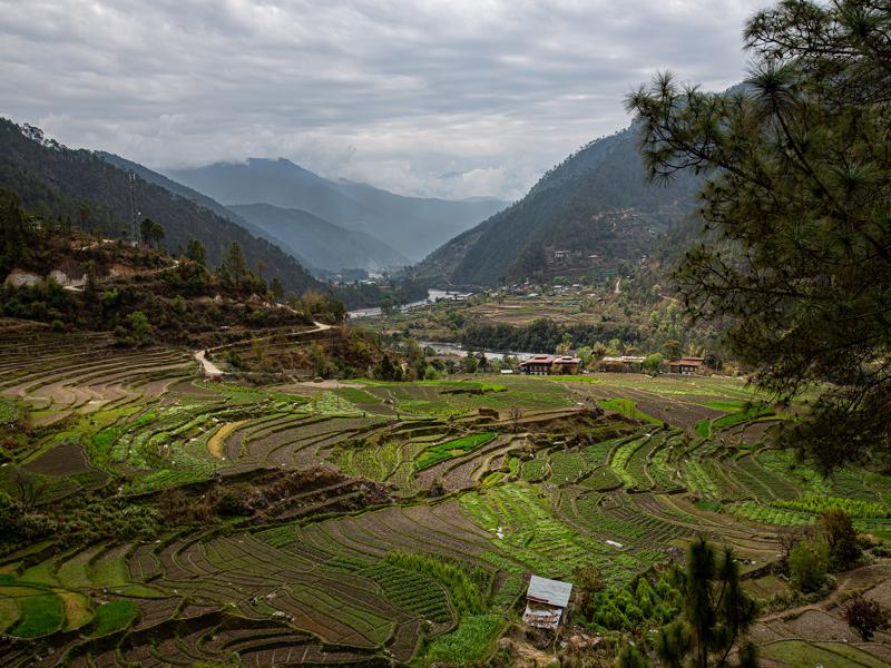 Farming in the valley