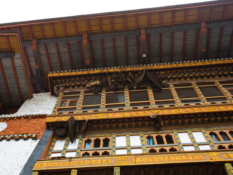 Bees nests on Punakha Dzong