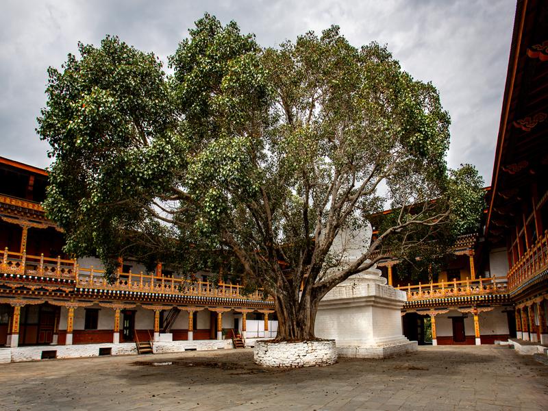 Punakha Dzong courtyard