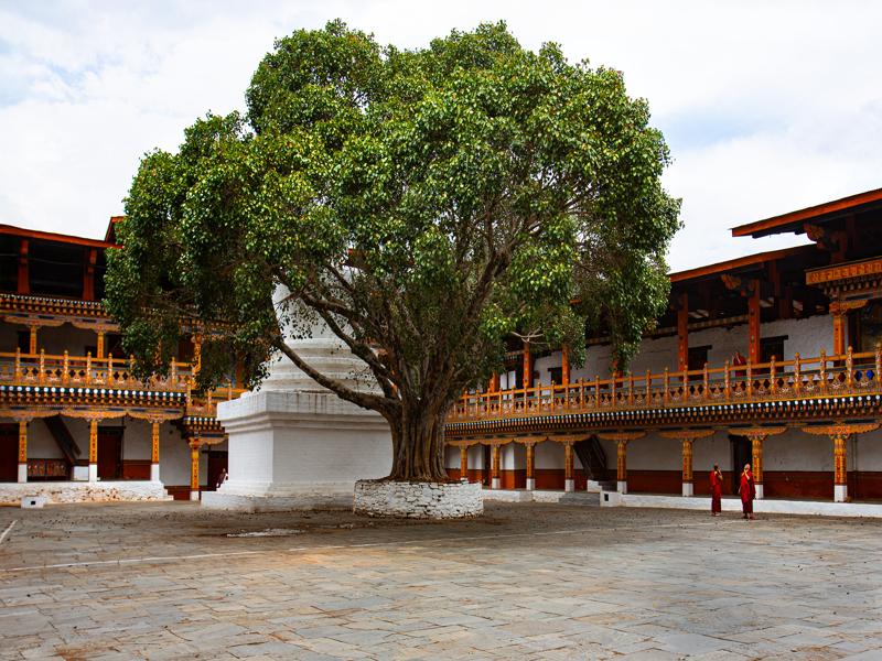 Punakha Dzong courtyard
