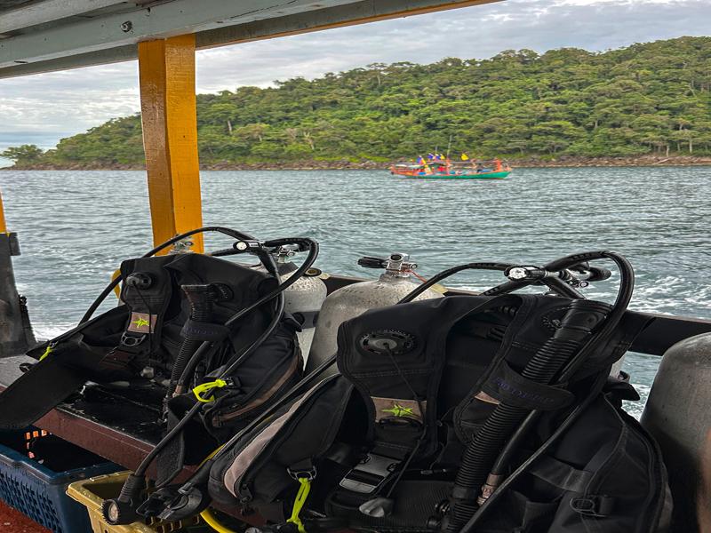 Getting ready to go out