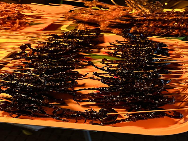 Or how about a scorpion?