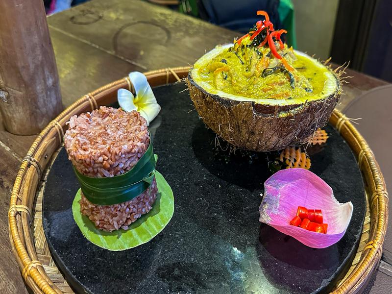 Cocounut curry and rice