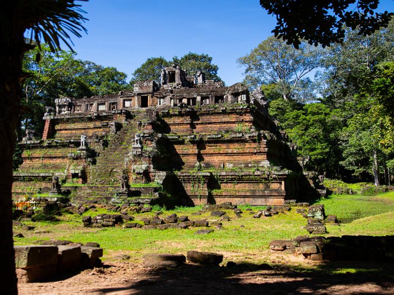 The jungle overtaking