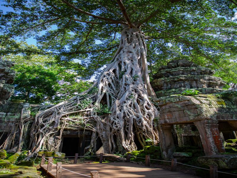 Ta Prohm temple