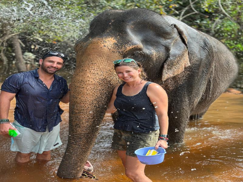 Bathing the elephants