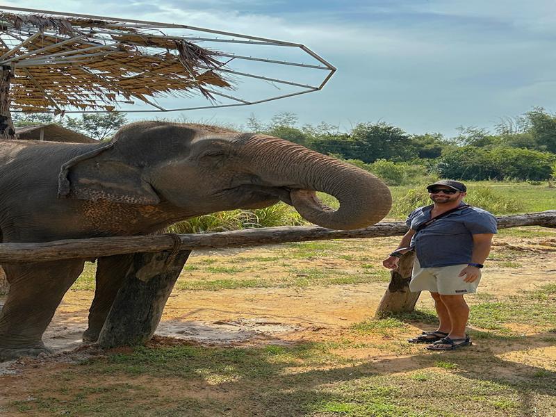 Feeding the elephants