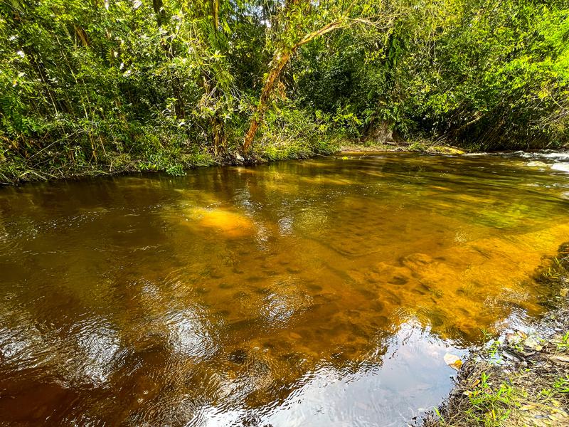 The 1,000 Lingas, but underwater