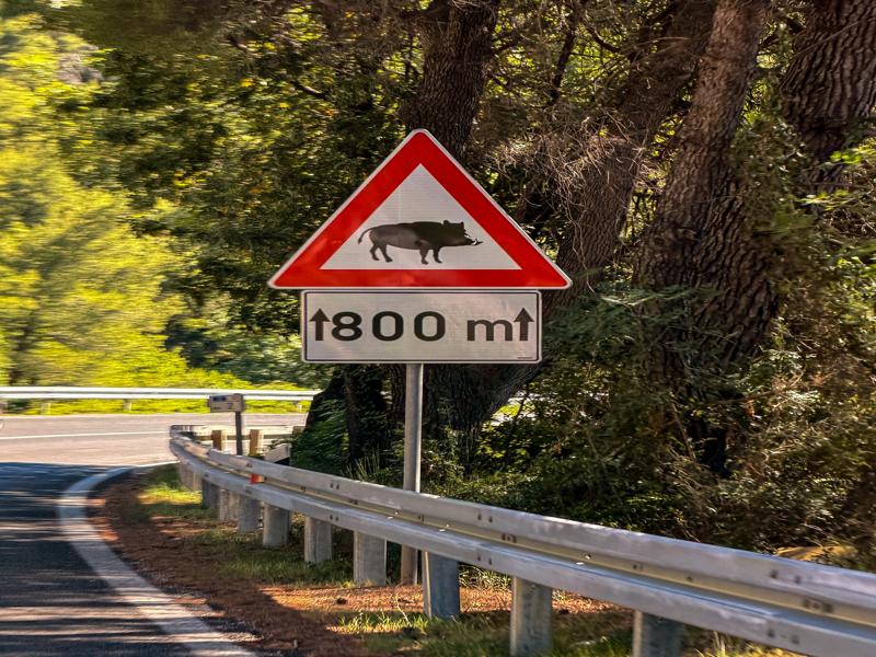 We saw a lot of these boar signs around the coastal area
