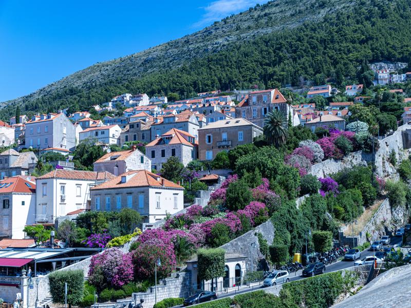 Flowers and town outside the wall