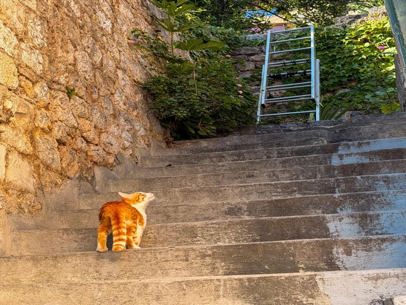 There were several staircases we could take up to our apartment, this one wasn't so good