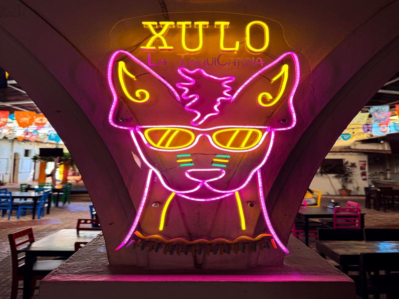 More tacos for lunch