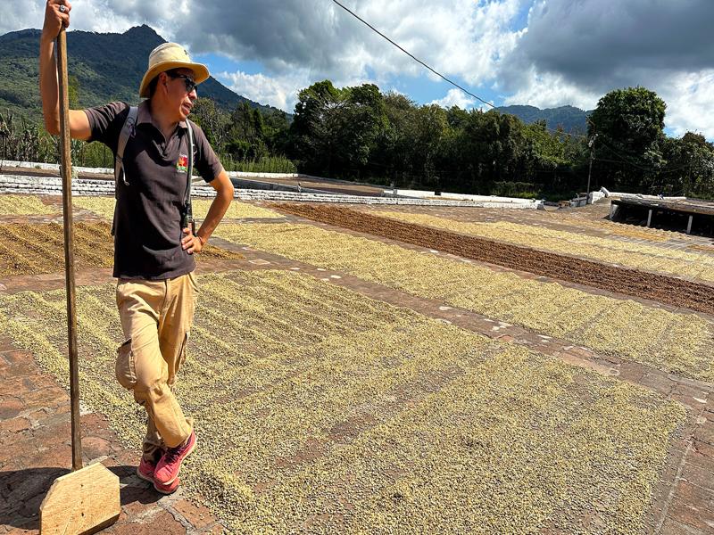 They have to rake them by hand to continue drying