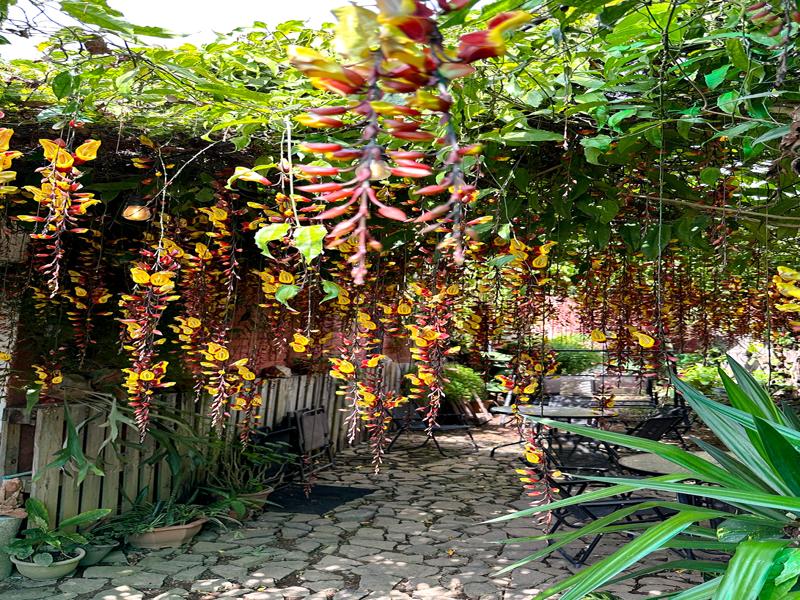 We couldn't believe they were real!