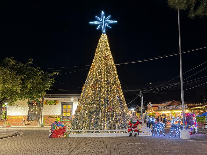 Juayua lit up at night, most towns had these huge fake trees