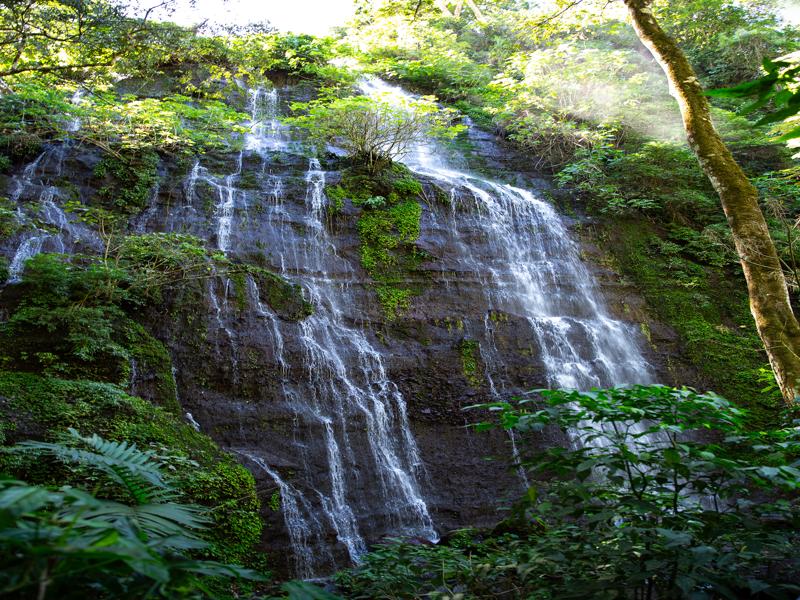 We followed AllTrails for the Seven waterfalls hike