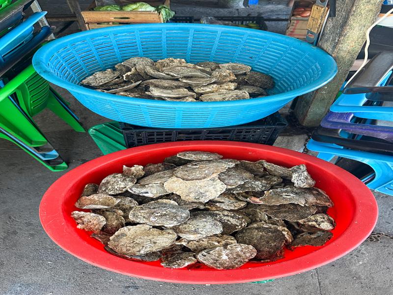 We opted to have ceviche and pupusas instead