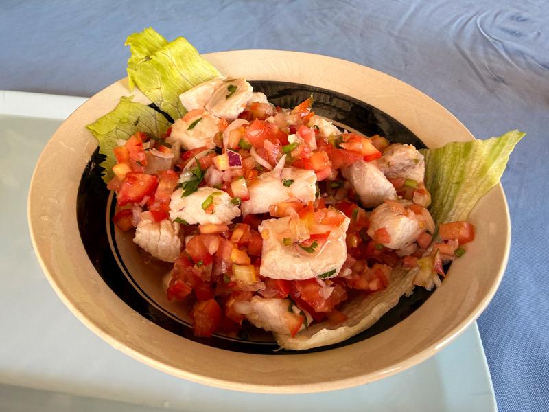 Our ceviche lunch