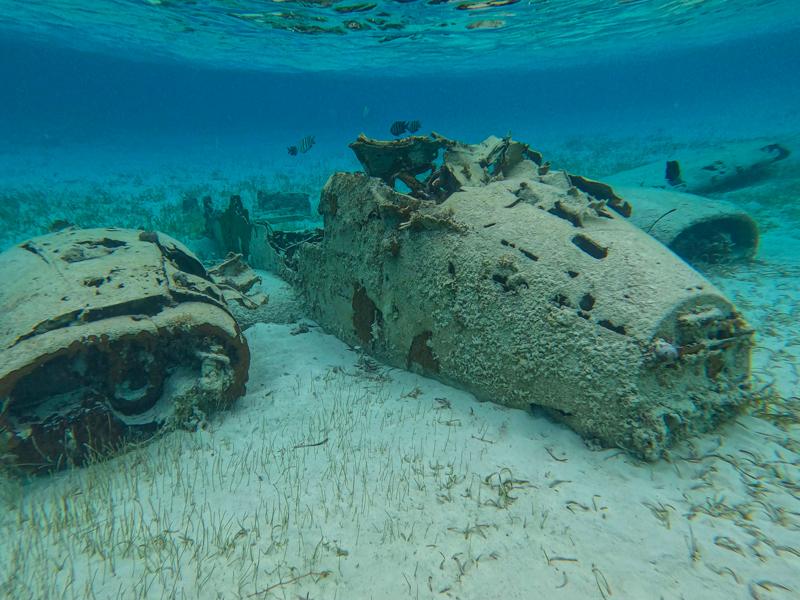 Snorkeling at the airplane wreck