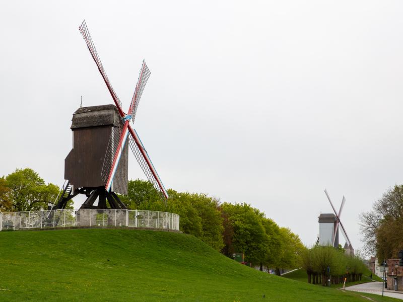 The line of windmills