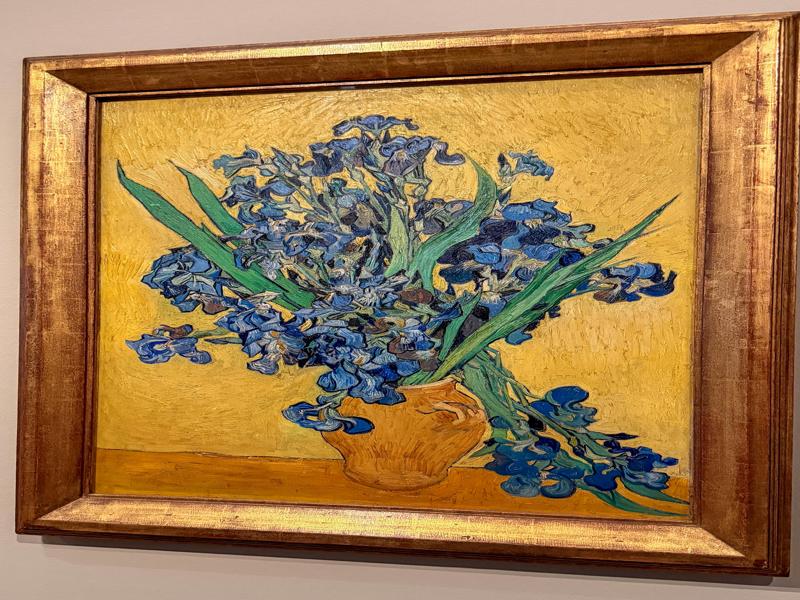Iris painting