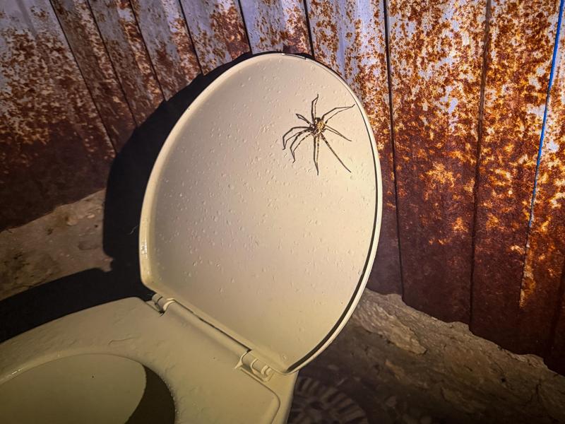 We had some unwelcome visitors in our bathroom...