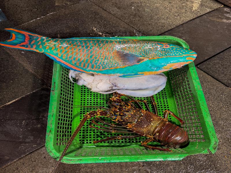 Here is what we chose