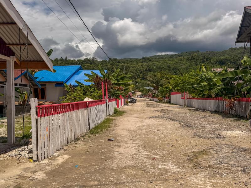 We had a driver take us 3 hours across Peleng Island
