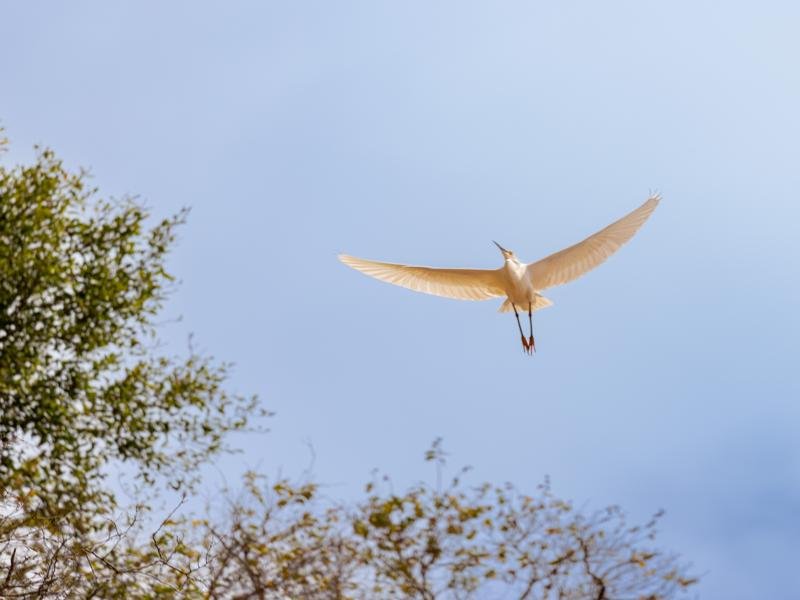 They all take off when we get nearby