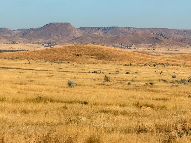 Grasslands with mesas