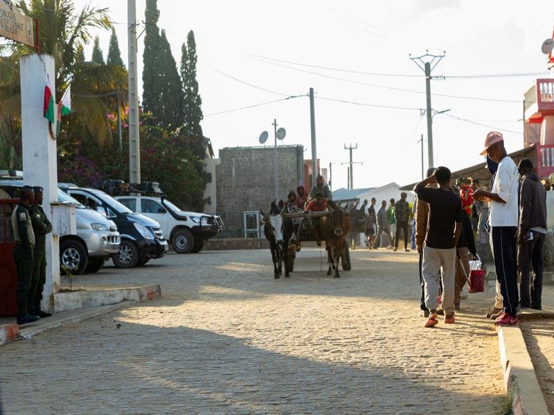 Local zebu cart coming through town