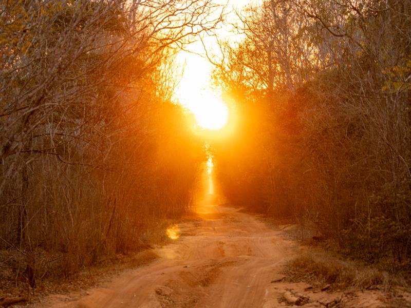 Sunset on the road to Kirindy
