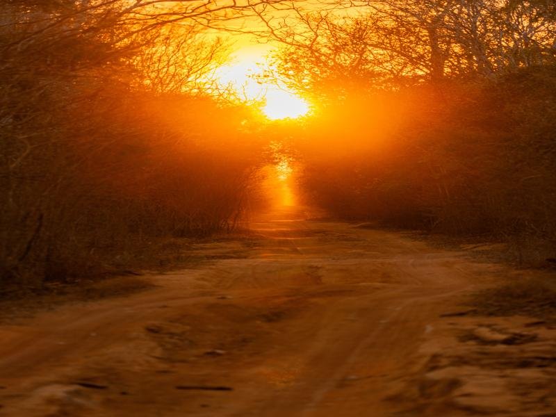 Sunset on the road to Kirindy
