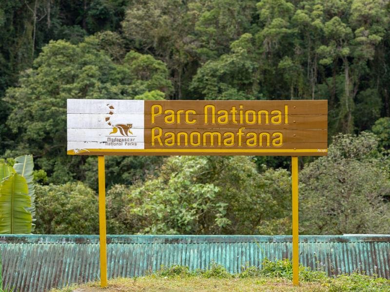 The next morning we went on a longer walk in the Ranomafana National Park