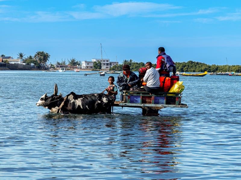 Local transport