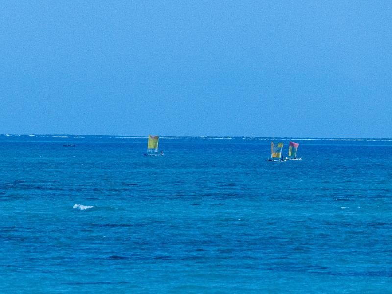 Most of them are just narrow dugout canoes