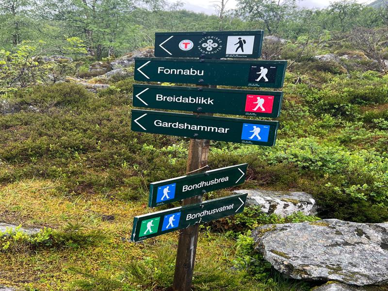 More hikes leading out from our hike