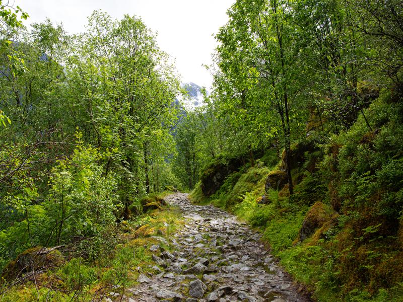 Path around the lake