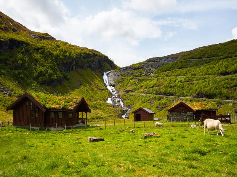 Random farm we pulled over to see